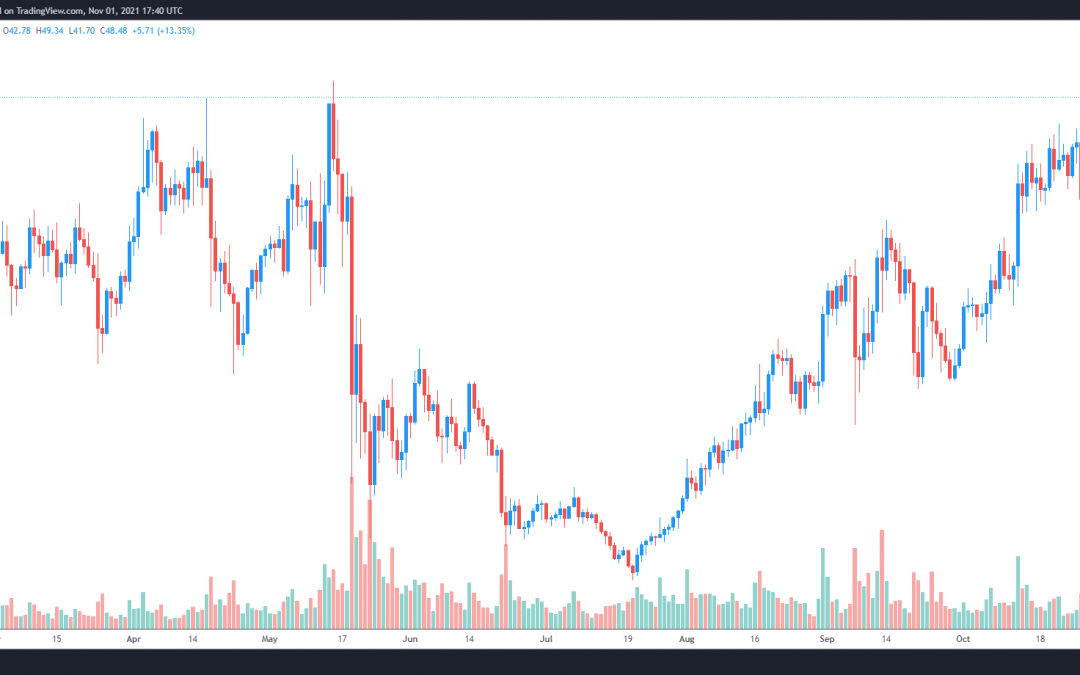 Upcoming parachain auctions send Polkadot to new ATH, while CHR and THETA follow