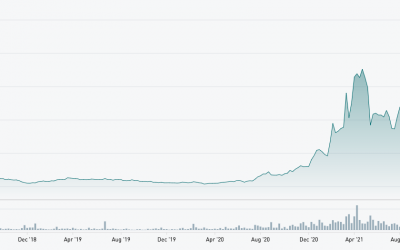 Novogratz’s crypto firm Galaxy Digital delays US stock listing to 2022