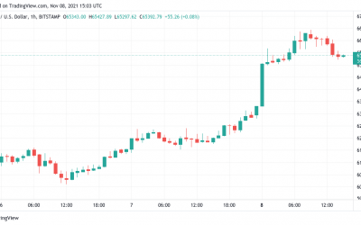 Bitcoin retains $65K after Elon Musk sell-off sees BTC pass Tesla market cap