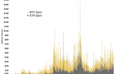 What Bitcoin and Ether’s Options Tell Us About Their Maturity