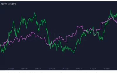 Large Bitcoin Investors Take a Breather After Frantic October, U.S. Inflation Data Eyed