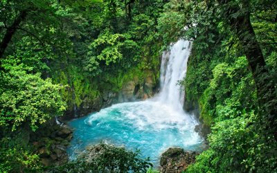 Chia Network to Help Costa Rican Government Track Climate Change