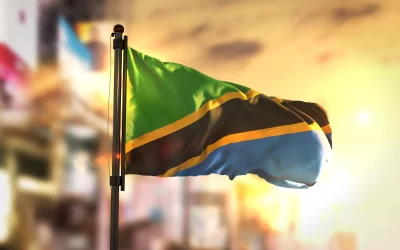 Tanzania Plans to Launch CBDC After eNaira Launch: Report