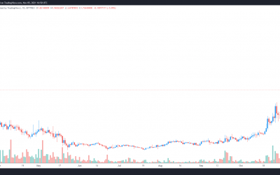 Altcoin Roundup: Three blockchain protocols taking the supply chain crisis head-on