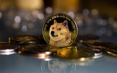 How to Recover a Lost Dogechain.info Wallet Password and Unblock 2FA – KeychainX Expert Explains