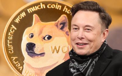 Elon Musk Calls Binance’s Dogecoin Problem ‘Shady’ — Says He’s Raising the Issue on Behalf of Other DOGE Holders