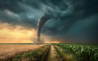 Privacy-Centric Crypto Mixing Protocol Tornado.cash Plans to Deploy on L2 Platform Arbitrum