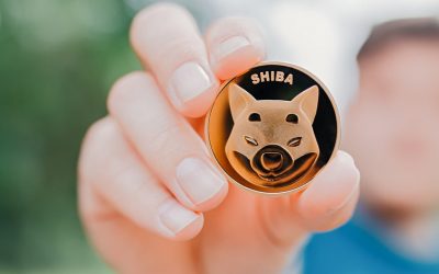 Shiba Inu prospects could improve after blockchain gaming move