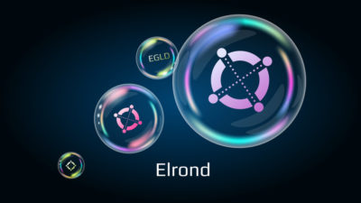 Elrond (EGLD) Is Sliding Down the Crypto Ranking – Here Is Why the Trend Will Continue