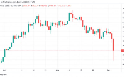 Bitcoin could ‘consolidate until 2022’ after mass wipeout sends BTC price to $41K