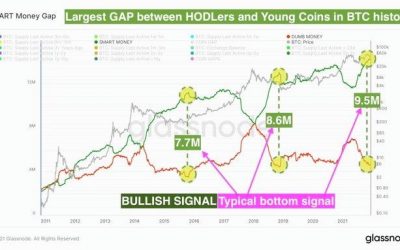 Bitcoin sheds ‘dumb money’ as retail buys most BTC since March 2020 crash