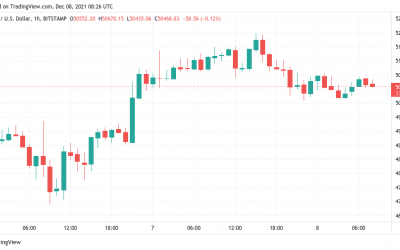 Bitcoin holds $50K as analyst says weekly timeframes confirm bull market remains intact