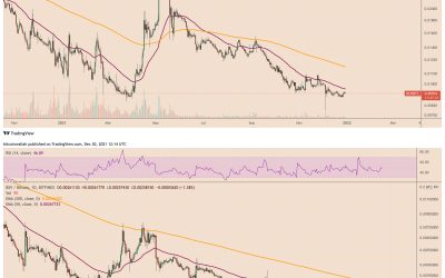 Little forkers: BCH and BSV get crushed by Bitcoin price in 2021