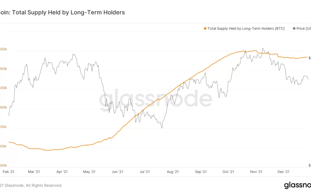 Tenedores a largo plazo de bitcoin mantienen posiciones pese a una fuerte caída desde noviembre