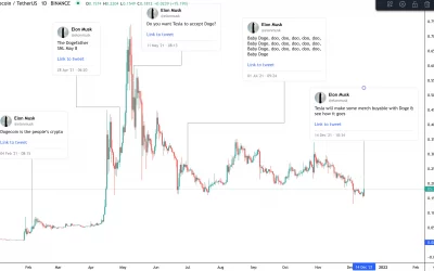 The Elon Effect: How Musk’s Tweets Move Crypto Markets