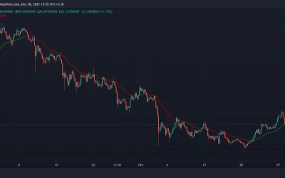 Polkadot Leads Altcoin Losses After Bitcoin Is Rejected at $52K