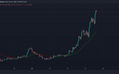 Crypto Markets See Mixed Session as Terra Falls, NEAR Sets All-Time High