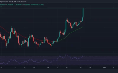 Cardano, Polkadot Jump as Bitcoin Holds Above $50K