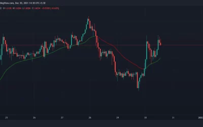 Algorand Surges as Foundation Incentivizes DeFi Activity on Algofi