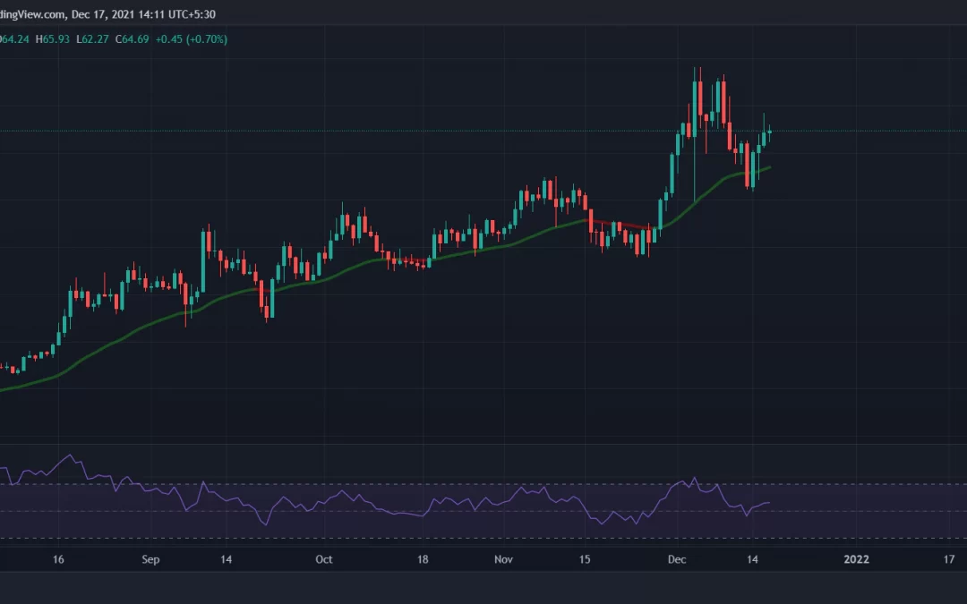 Terra One of Few Cryptos in Green While Bitcoin, Others Slide