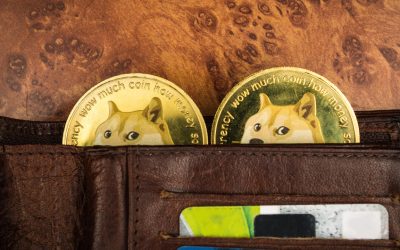 Crypto Exchange Binance Explains Its ‘Rare’ Dogecoin Issue — Resumes DOGE Withdrawals