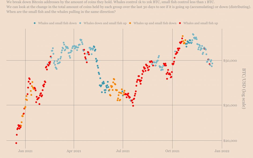 Fish food? Data shows retail investors are buying Bitcoin, whales are selling
