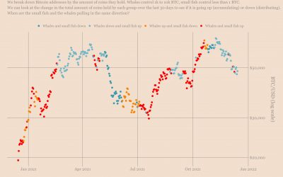 Fish food? Data shows retail investors are buying Bitcoin, whales are selling