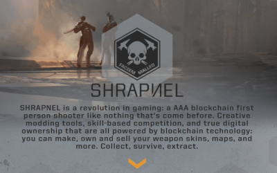 Behind the scenes of the first AAA shooter game built on the blockchain