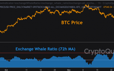 Bitcoin whales move fresh coins to exchanges in repeat of behavior before $42K BTC price dip