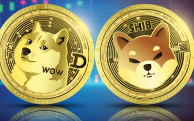 Meme Token Economy Climbs 14% in 2 Weeks — DOGE, SHIB Command 83% Dominance