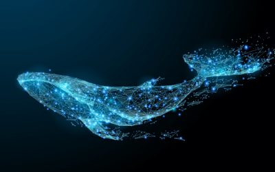 Monster-Sized Bitcoin Whale Transfers: Blockchain Parser Catches Significant Amounts of ‘Cold BTC’ Moved to Active Exchanges