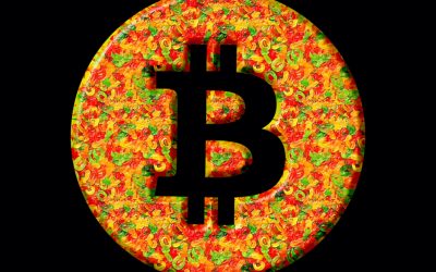 Tokenized Bitcoin in Circulation Nears a Half Million BTC, Bitcoin-Pegged Token Value Exceeds $21 Billion