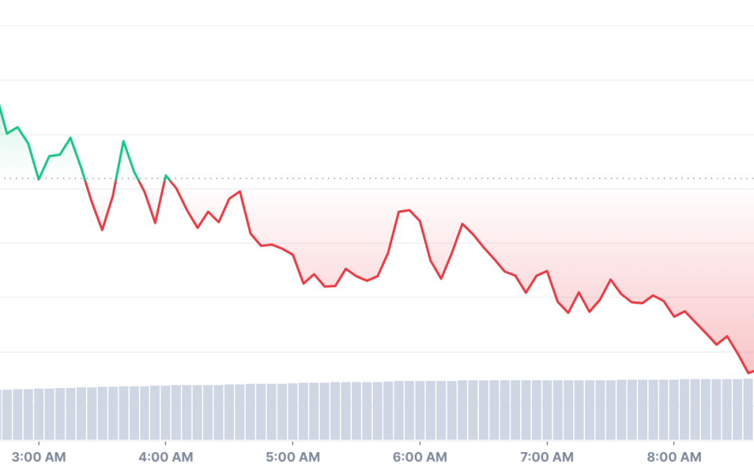 Battle of the bots: WTF token launch drains 58 ETH