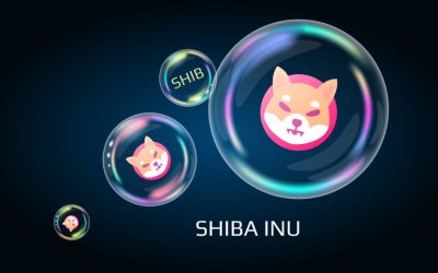 Shiba Inu (SHIB) could double your money in the near term – Here is why