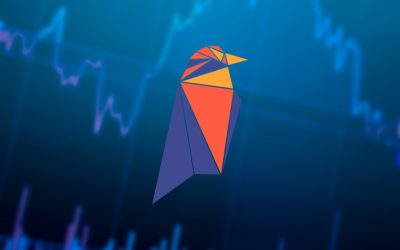 RavenCoin is up by more than 6% on Wednesday: Here is why