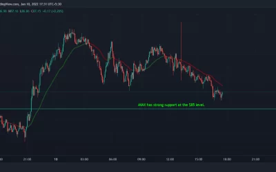 Avalanche, Polygon See Slight Gains as Crypto Markets Remain Flat