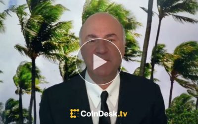 Kevin O'Leary's Crypto Investing Playbook