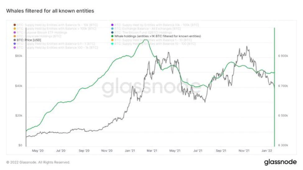 Bitcoin Whales Stay Away Even as Technical Indicator Flashes Oversold
