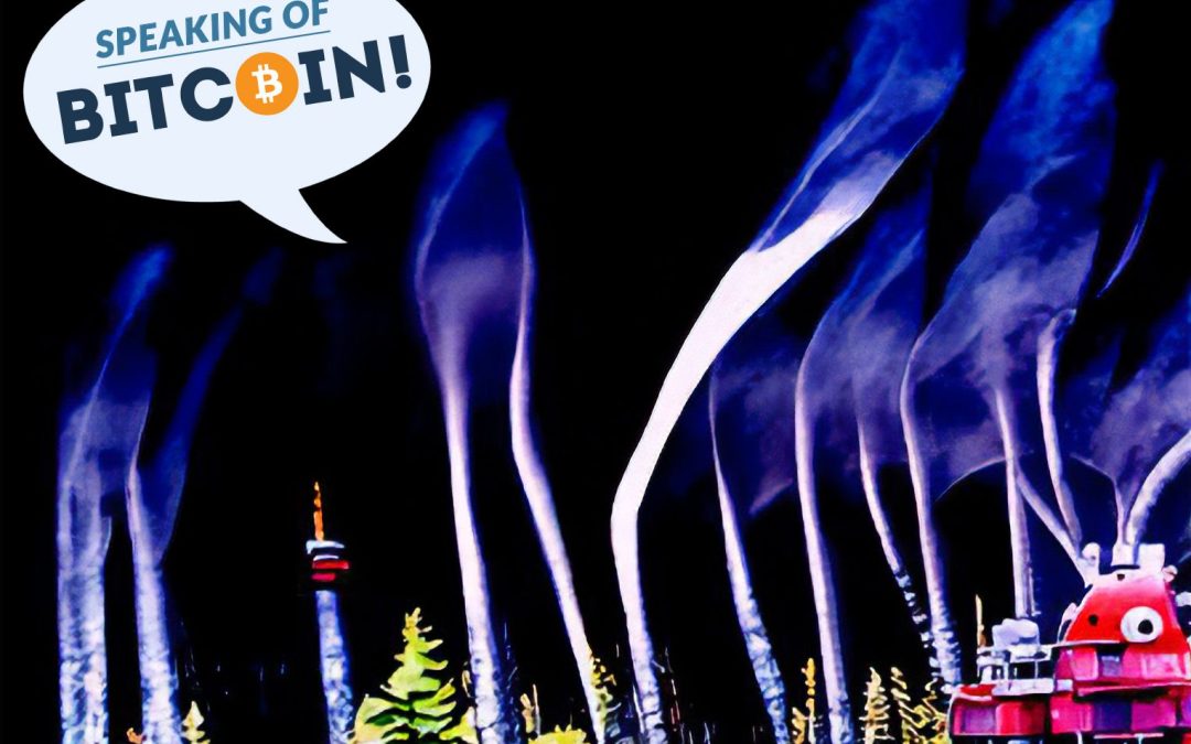Bitcoin Security and a Rogue Power Plant