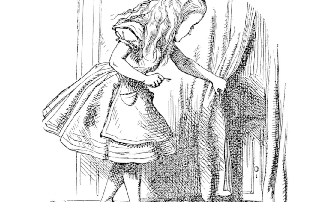 Wonderland's (and DeFi's) Anonymity Problem
