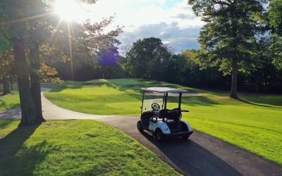 LinksDAO NFT Sale Books First $10M Toward Buying an Actual Golf Course