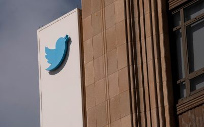 Twitter Seeks Senior Crypto Role on Heels of NFT Verification Announcement