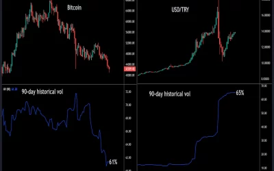 Turkish Lira Is Now More Volatile Than Bitcoin