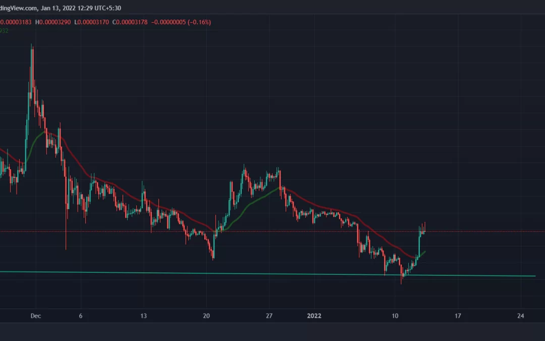 Shiba Inu Surges 16% After Rumors of Robinhood Listing