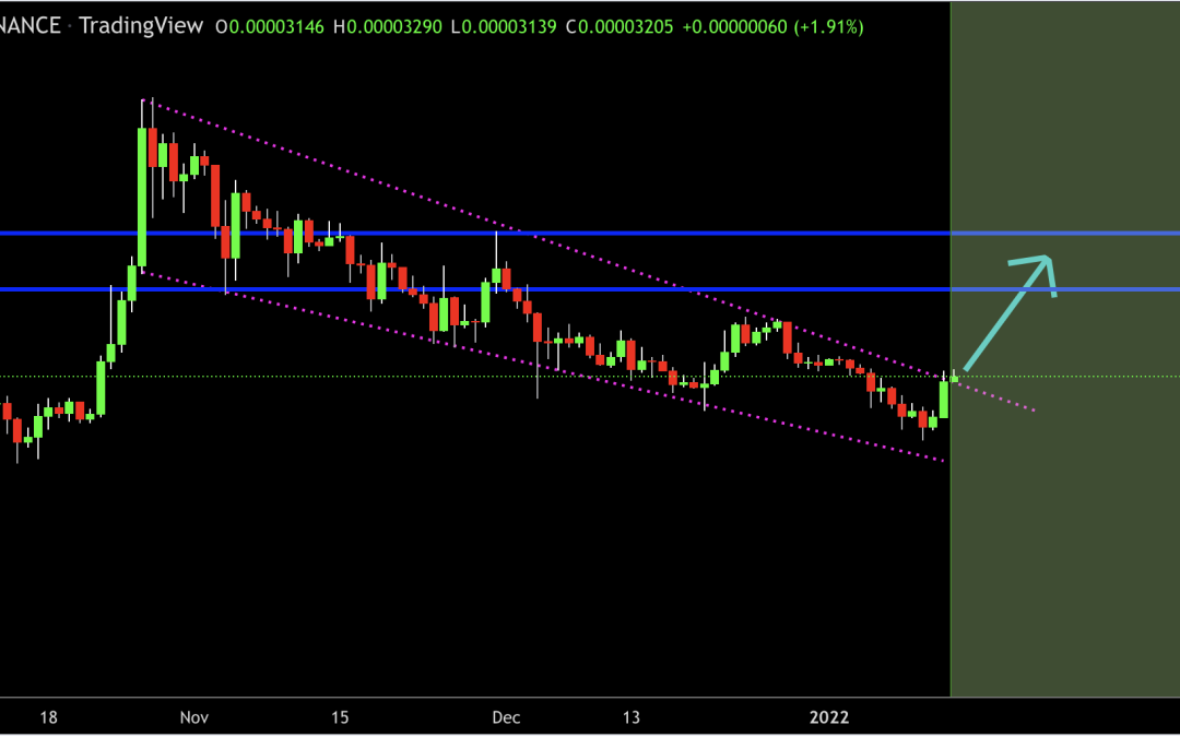 Shiba Inu (SHIB) fetches 30% gain on Robinhood listing rumor and bullish chart pattern