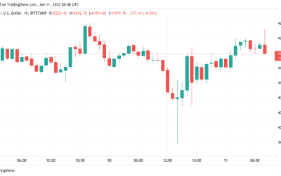 Bitcoin returns to $42K as bets start favoring ‘short squeeze’ higher for BTC