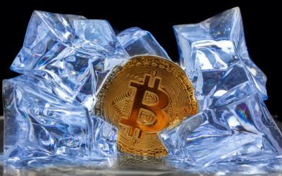 Mid-Way Cool Down: Analysts Believe Bitcoin Price Cycle Is Incomplete, Trader Says BTC’s ‘Next Move Should Be Cycle’s Top’