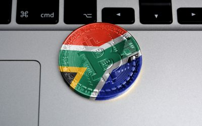 Survey: Proportion of South African Crypto Holders Grows to 11.3%, 56% of Crypto Owners Hold Bitcoin