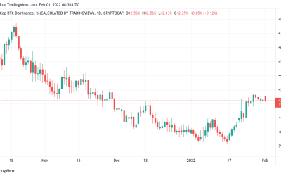 Bitcoin market cap dominance hits 2-month high as altcoins struggle