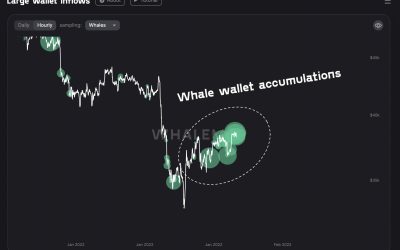 Bitcoin whales buy at $38K as BTC supply per whale hits 10-year high